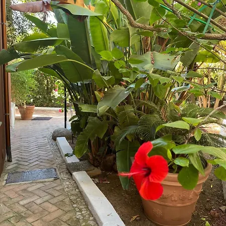 Benedetta * Parghelia