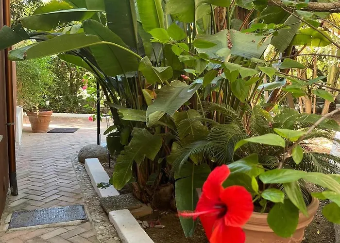 Benedetta * Parghelia