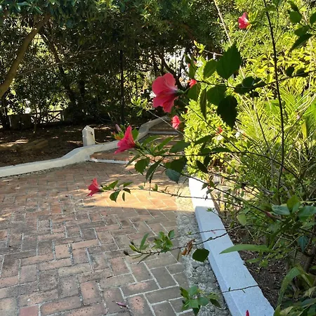 Benedetta * Parghelia