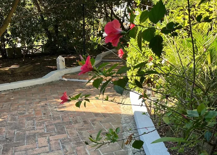 Benedetta * Parghelia